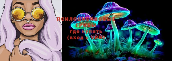 круглые Аркадак