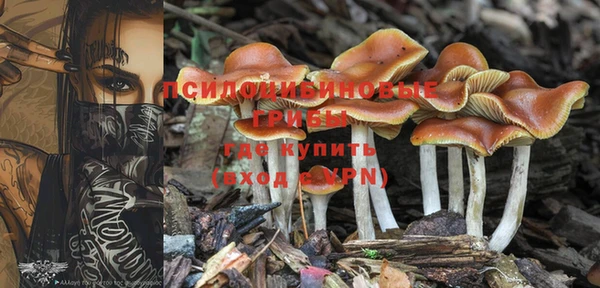 бошки Армянск