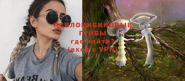 бошки Армянск