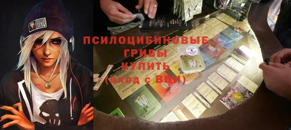 бошки Армянск